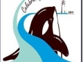 Eden Killer Whale Museum