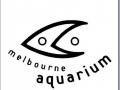 Sea Life - Melbourne Aquarium
