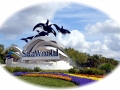 SeaWorld of Florida