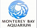 Monterey Bay Aquarium