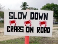 Red Crab