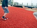 Red Crab