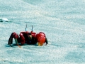 Red Crab
