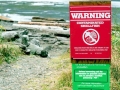 Red Tide