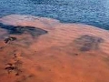 Red Tide