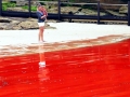 Red Tide