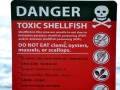 Red Tide