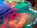 Red Tide