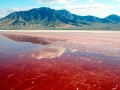 Red Tide