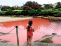 Red Tide