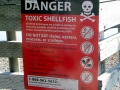 Red Tide