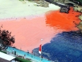Red Tide