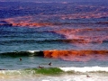 Red Tide