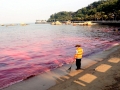 Red Tide