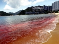 Red Tide