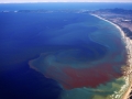 Red Tide