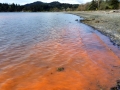 Red Tide