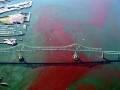 Red Tide