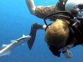 Remora