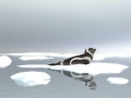Ribbon Seal