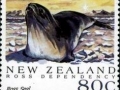 Ross Seal