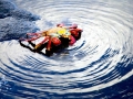 Sally Lightfoot Crab