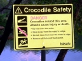 Saltwater Crocodile