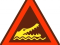 Saltwater Crocodile
