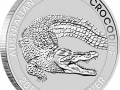 Saltwater Crocodile