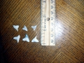 Sandbar Shark