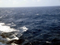 Sargasso Sea