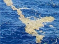 Sargasso Sea