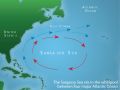 Sargasso Sea