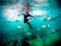 Sargasso Sea