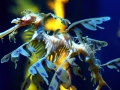 Sea Dragon