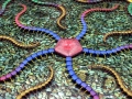 Sea Star