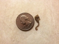 Seahorse