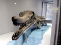 Shastasaurus