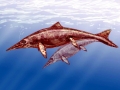 Shastasaurus