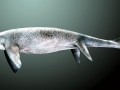 Shastasaurus