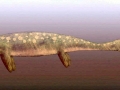 Shastasaurus