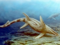 Shastasaurus