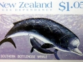 Southern Bottlenose Whale