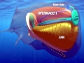 Sperm Whale