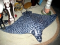 Spotted Eagle Stingray