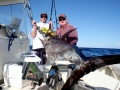 Swordfish