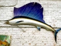 Swordfish