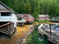 Telegraph Cove, BC