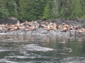 Telegraph Cove, BC