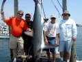 Thresher Shark